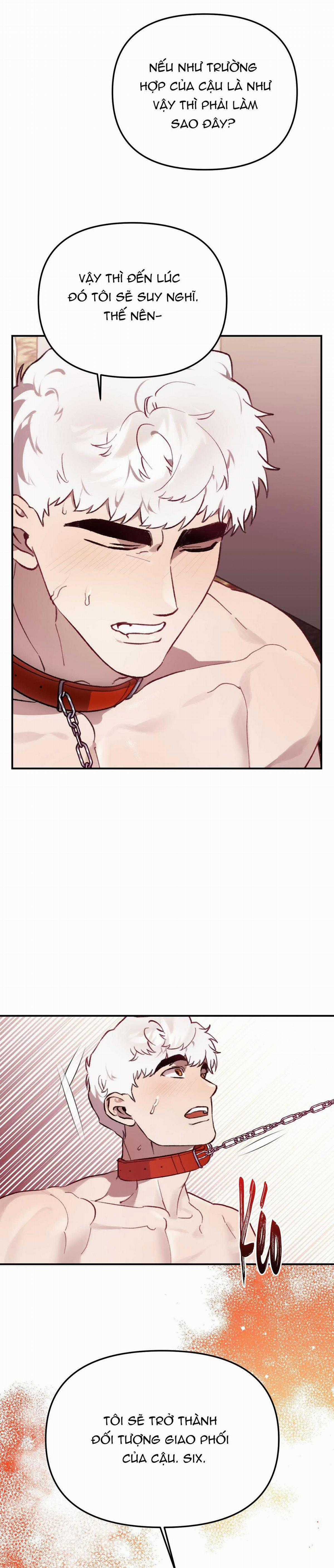 Sói Trong Lồng - Chapter 23 - Trang 10