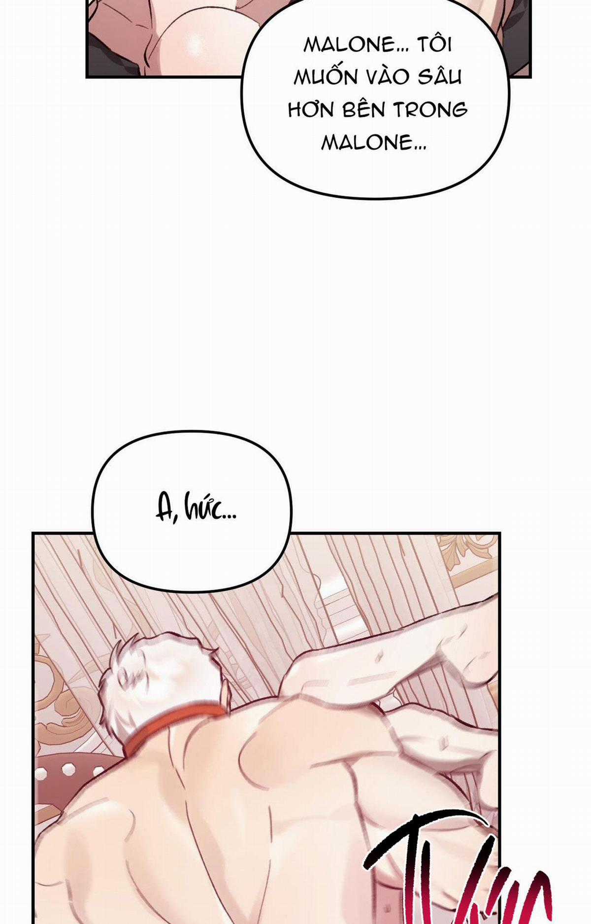 Sói Trong Lồng - Chapter 24 - Trang 42