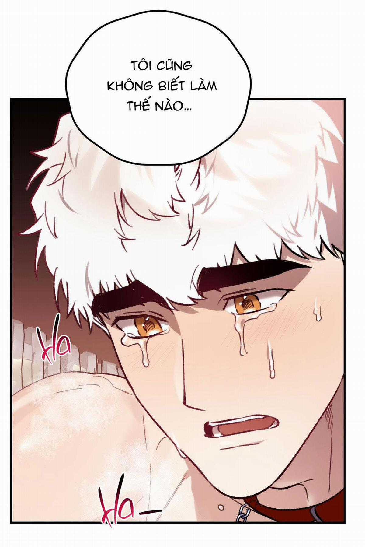 Sói Trong Lồng - Chapter 24 - Trang 56