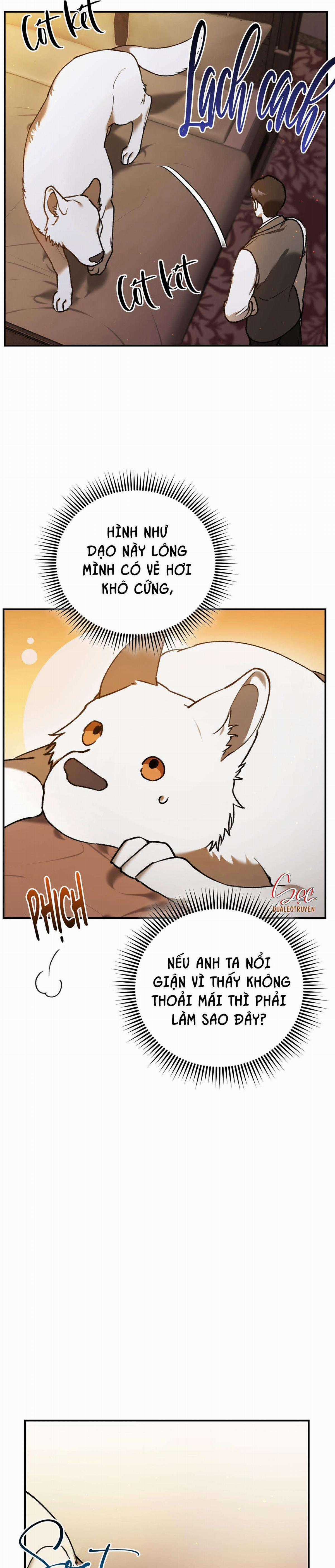 Sói Trong Lồng - Chapter 3 - Trang 13
