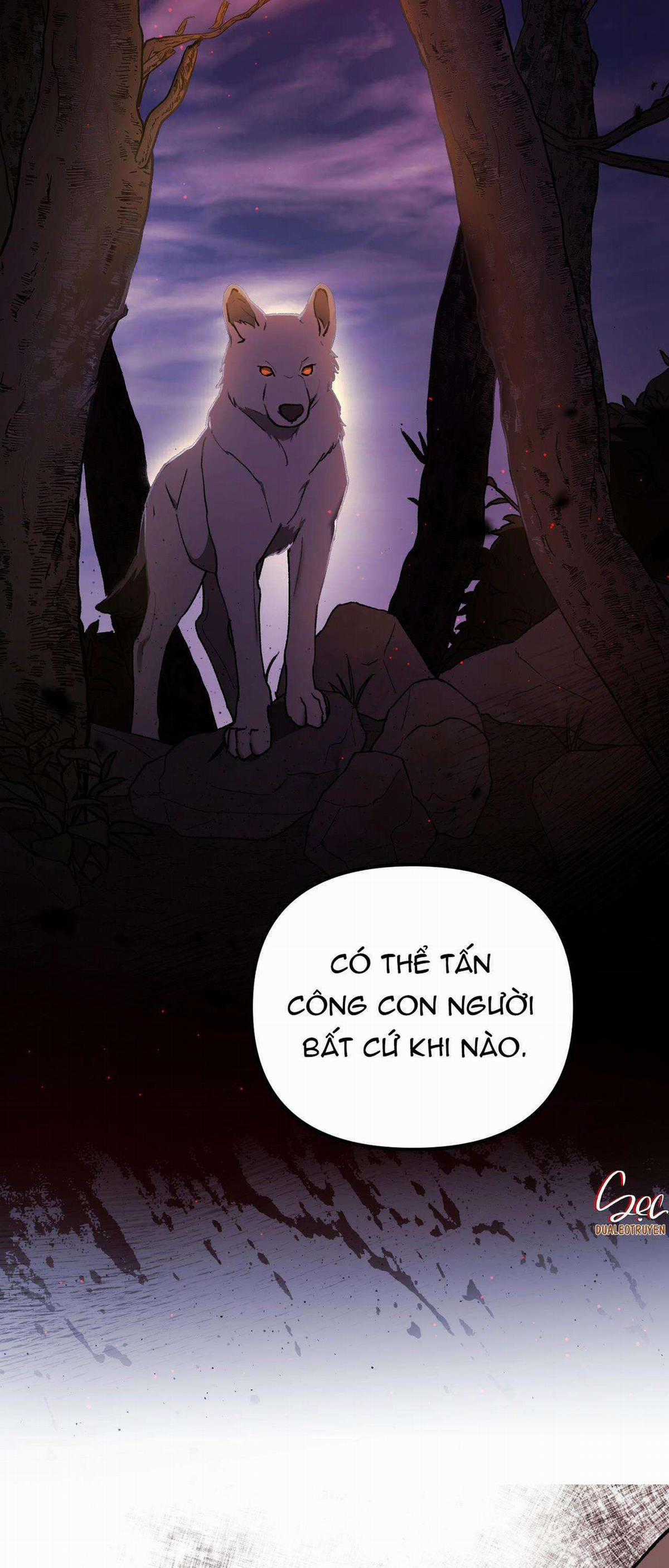 Sói Trong Lồng - Chapter 4 - Trang 13