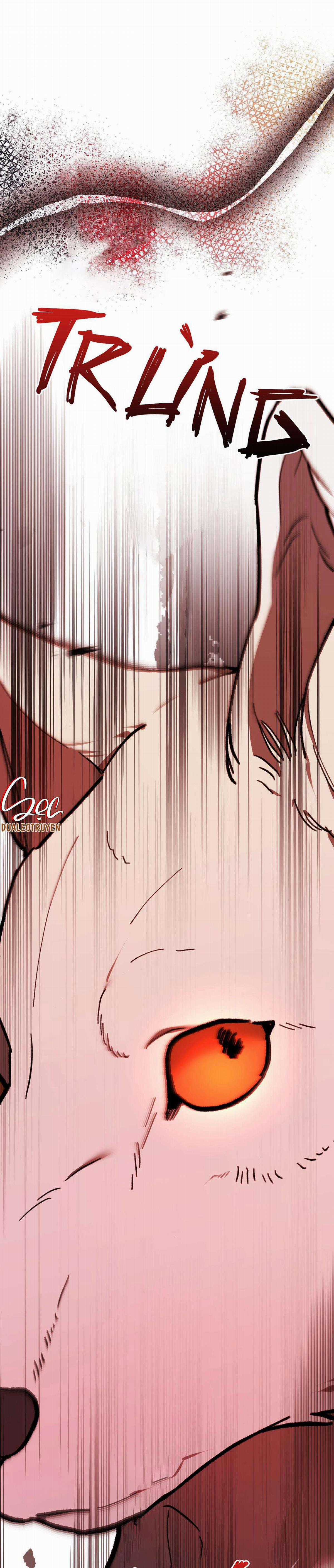 Sói Trong Lồng - Chapter 5 - Trang 40