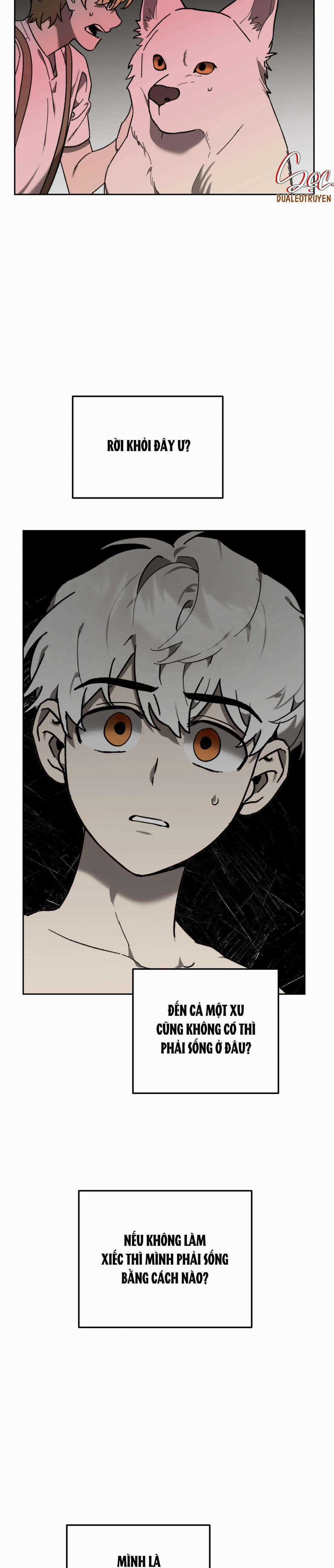 Sói Trong Lồng - Chapter 8 - Trang 28