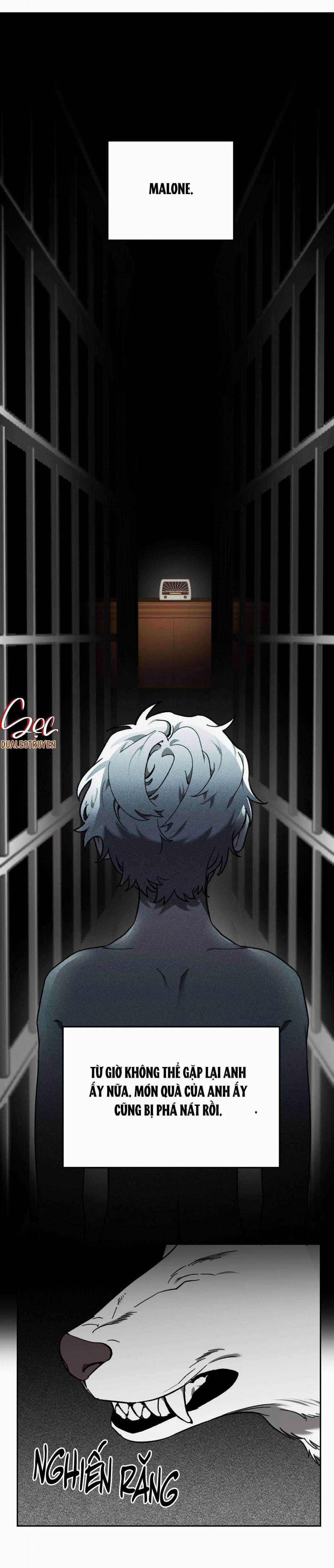 Sói Trong Lồng - Chapter 8 - Trang 31