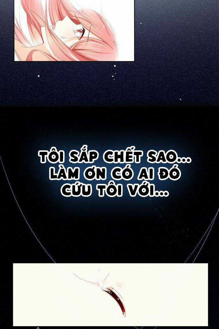 Sói Và Chỉ Huy - Chapter 0 - Trang 8