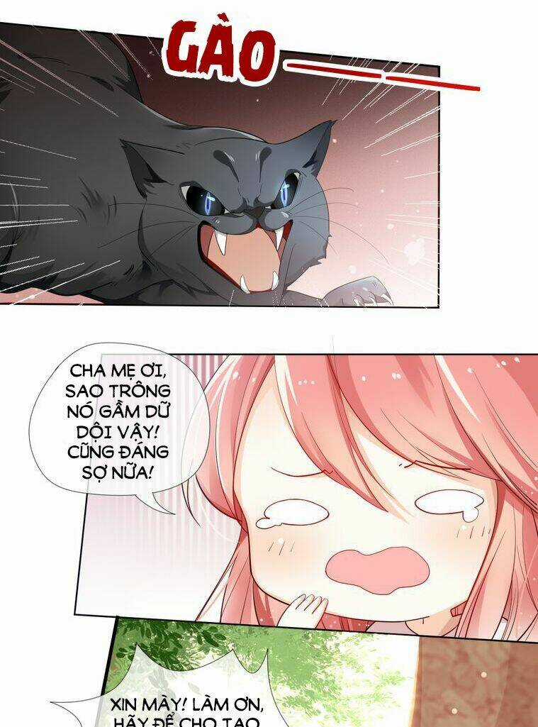 Sói Và Chỉ Huy - Chapter 1 - Trang 5