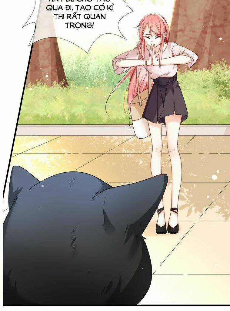 Sói Và Chỉ Huy - Chapter 1 - Trang 6