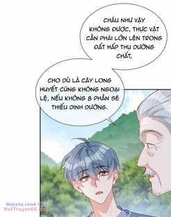 Sơn Hải Cao Trung - Chapter 97 - Trang 41