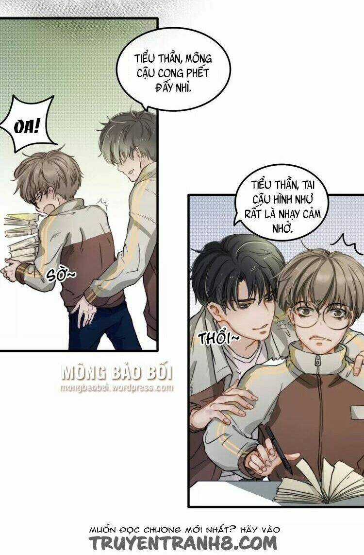 Song Trình - Chapter 11 - Trang 8