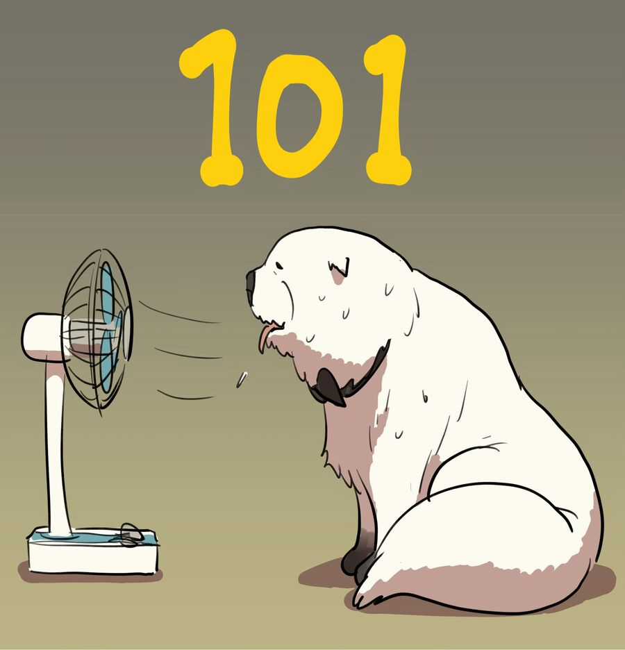 Spy X Family - Chapter 101 - Trang 3