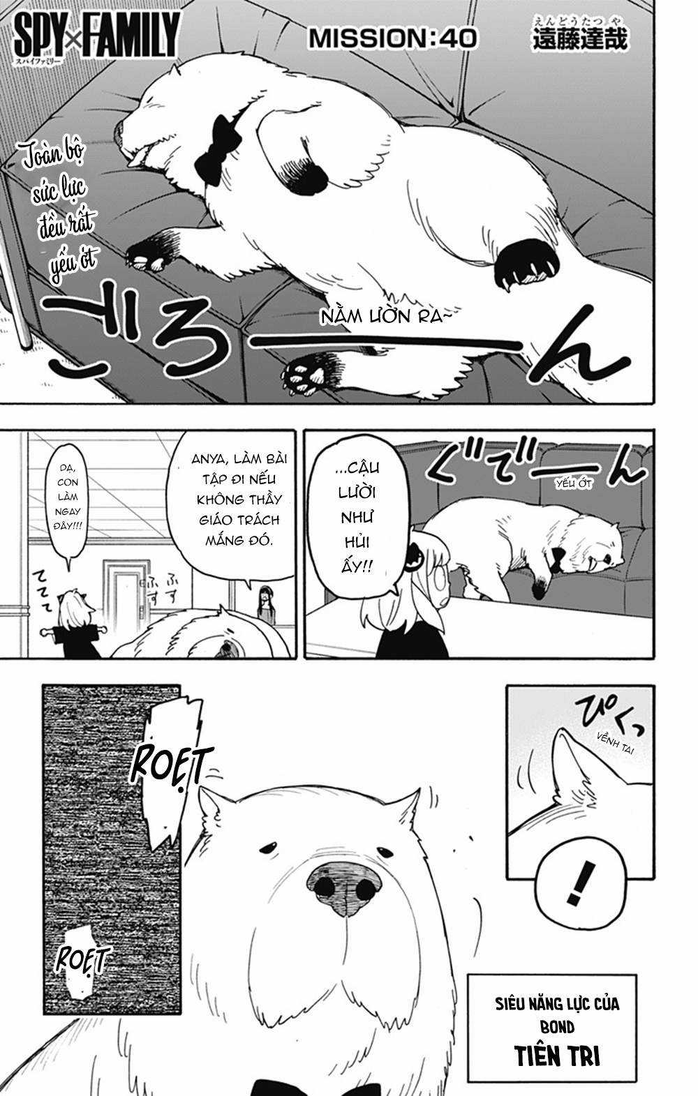 Spy X Family - Chapter 40 - Trang 5