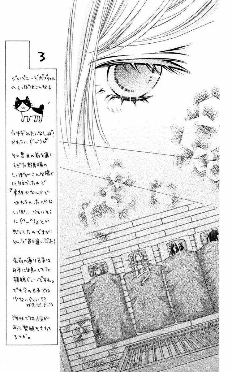 Stardust Wink - Chapter 34 - Trang 22