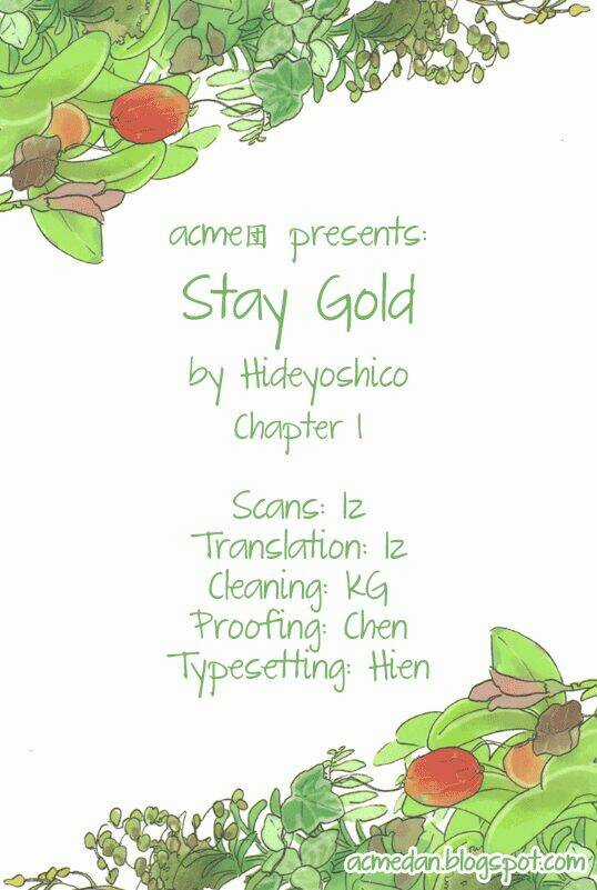 Stay Gold - Chapter 1 - Trang 2