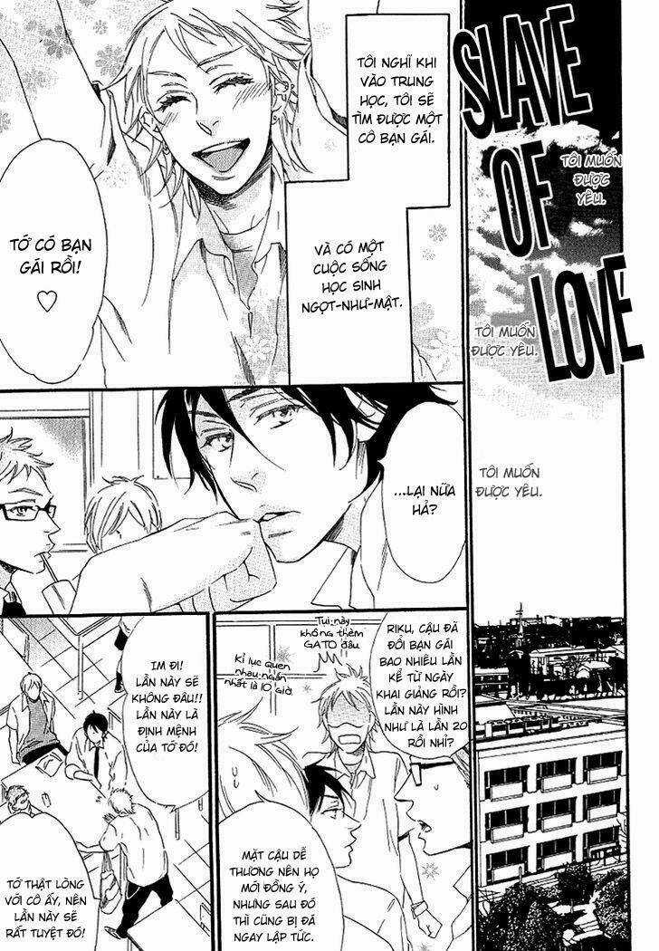 Stay Gold - Chapter 7 - Trang 8