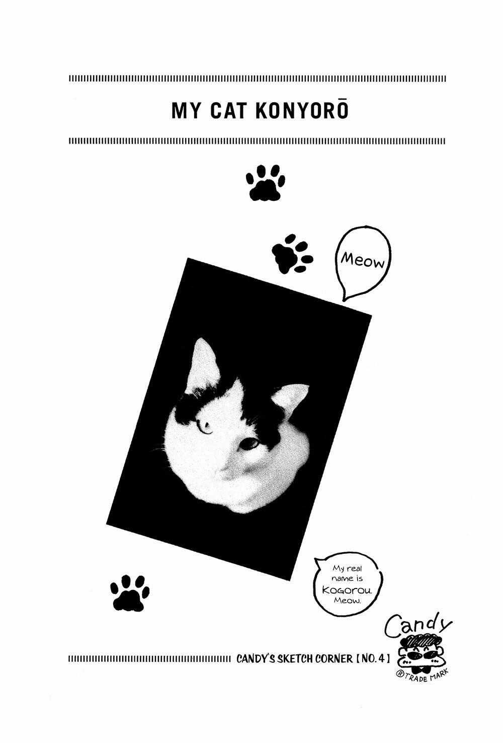 Stop!! Hibari-kun! - Chapter 10 - Trang 17