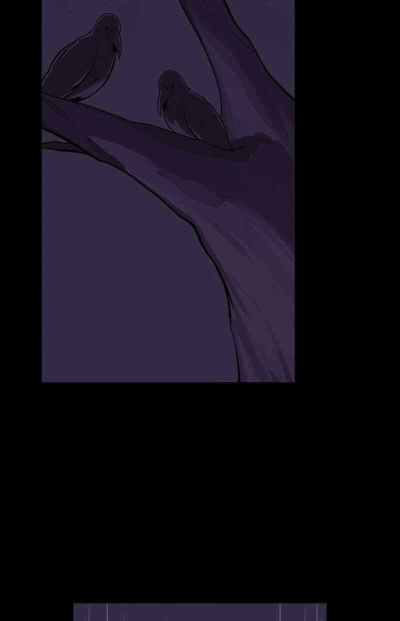 Streamer Pháp Sư - Chapter 5 - Trang 71