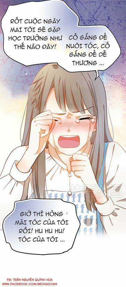 Sự Cám Dỗ Xấu Xa - Chapter 0 - Trang 23