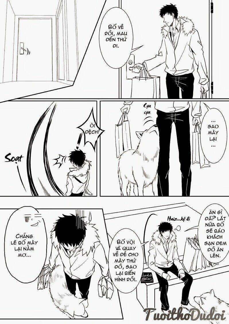 Sự Mê Hoặc Của Sói - Chapter 13 - Trang 8