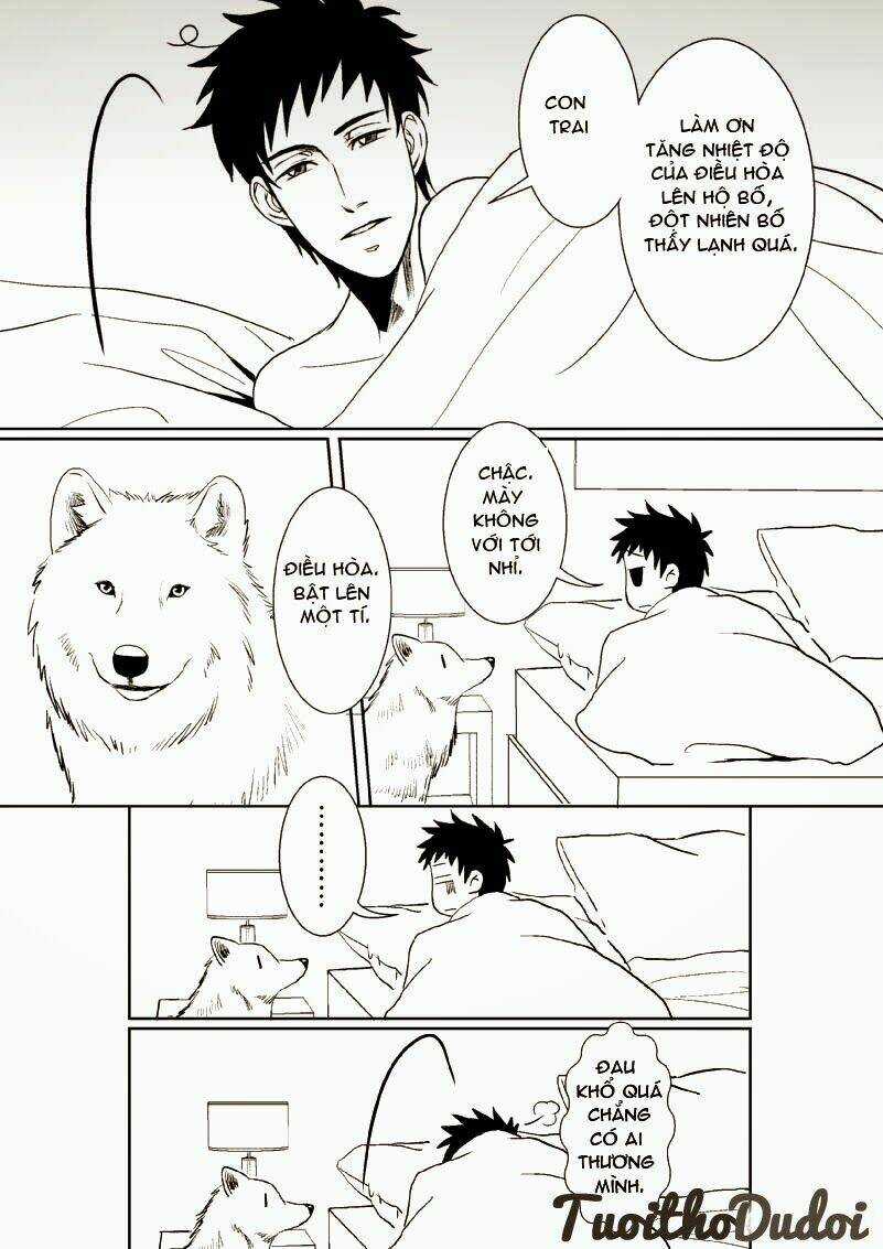 Sự Mê Hoặc Của Sói - Chapter 16 - Trang 3