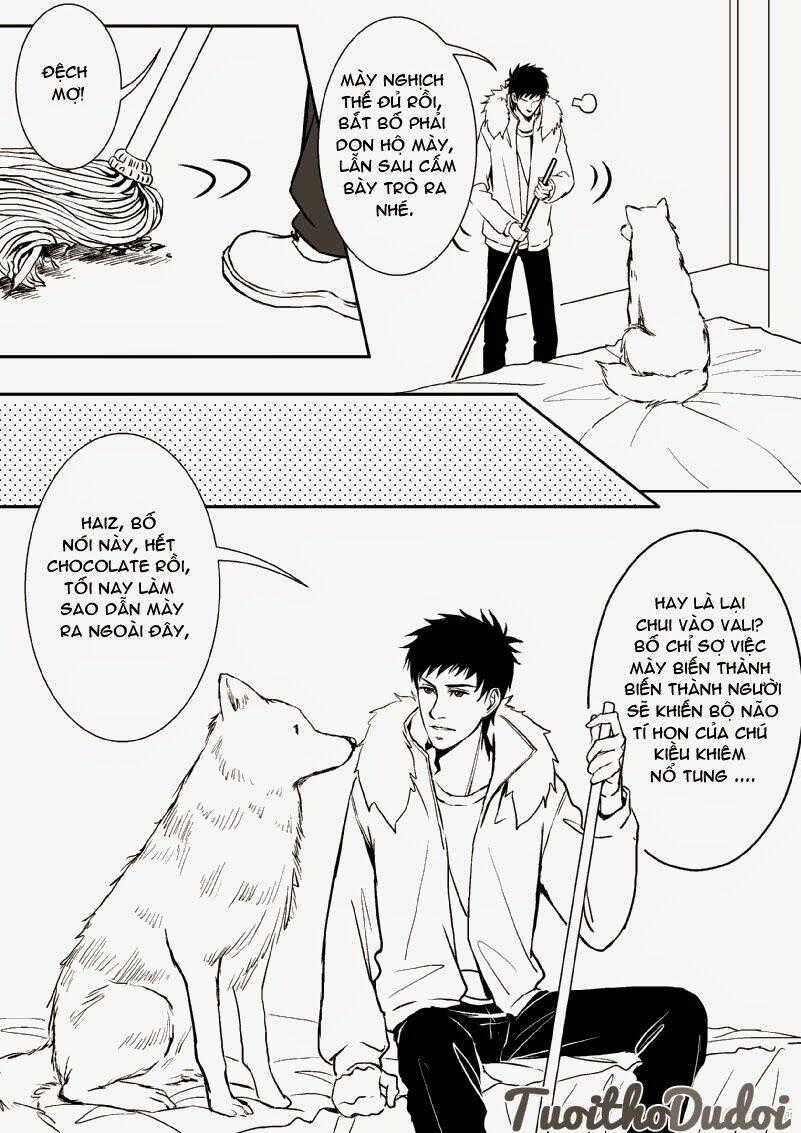 Sự Mê Hoặc Của Sói - Chapter 21 - Trang 2