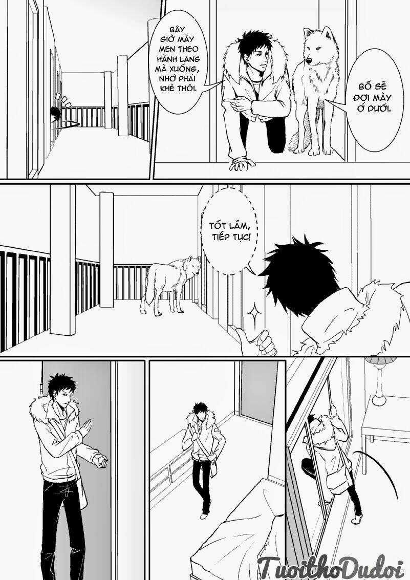 Sự Mê Hoặc Của Sói - Chapter 21 - Trang 5