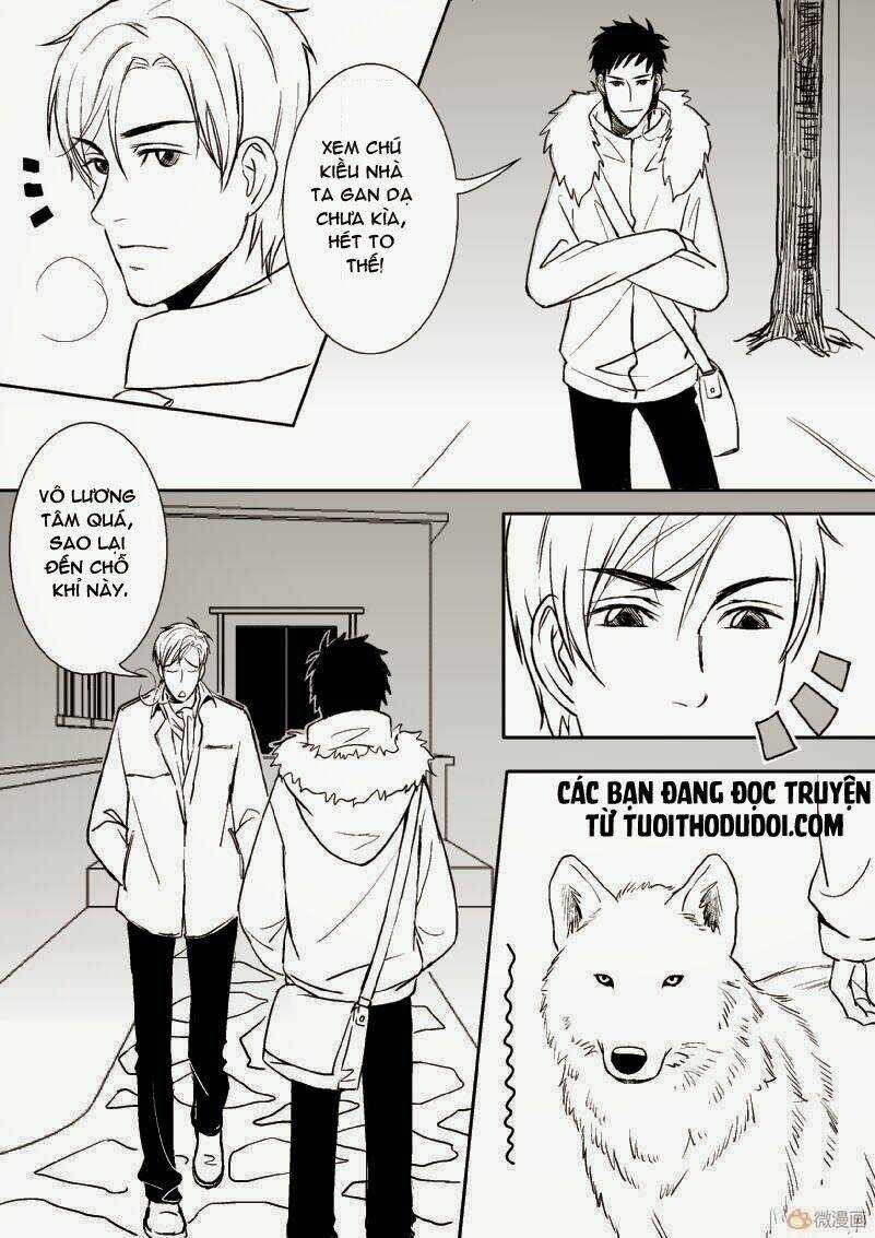 Sự Mê Hoặc Của Sói - Chapter 21 - Trang 8