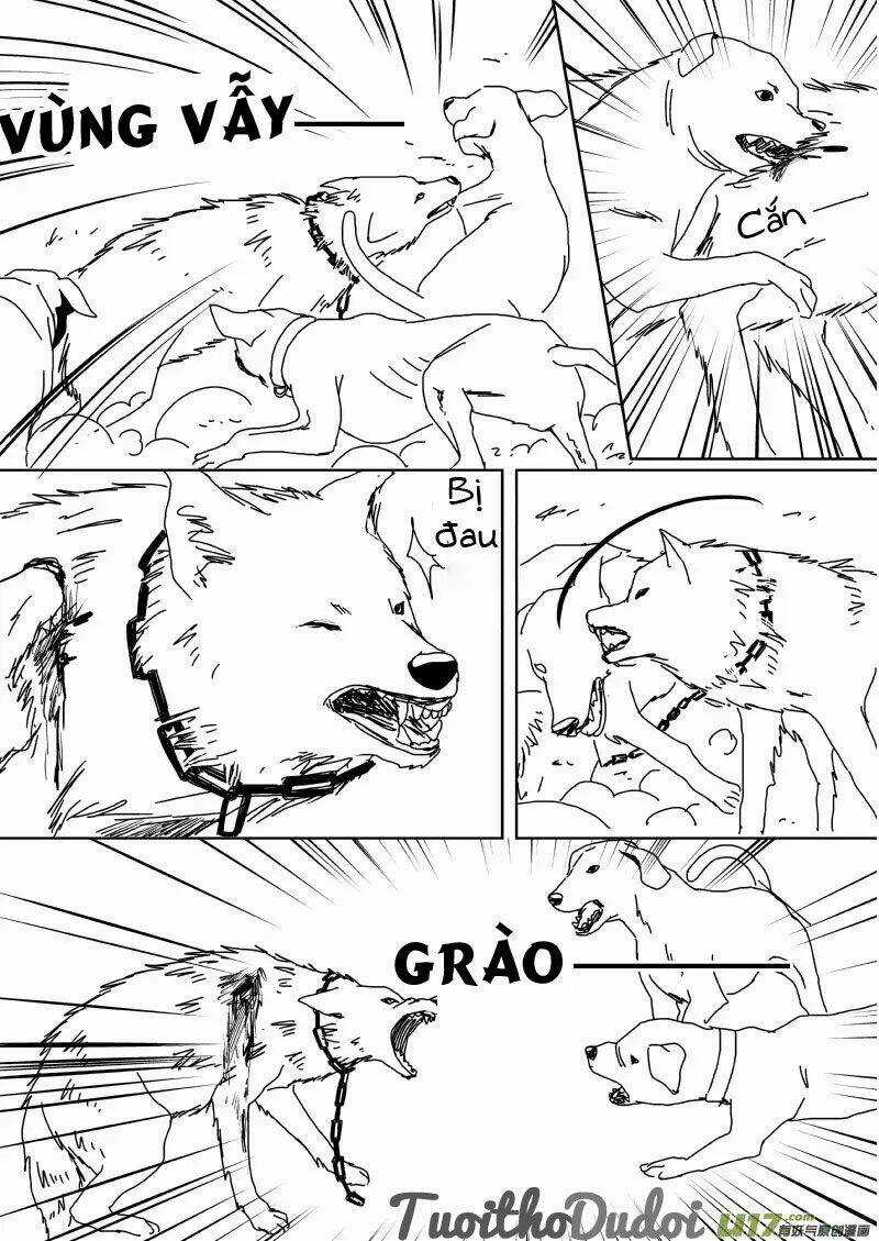 Sự Mê Hoặc Của Sói - Chapter 39 - Trang 7