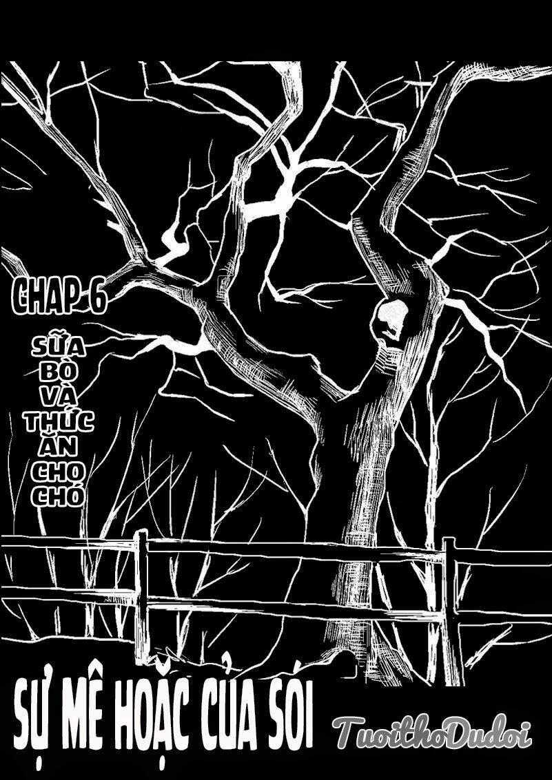 Sự Mê Hoặc Của Sói - Chapter 6 - Trang 1