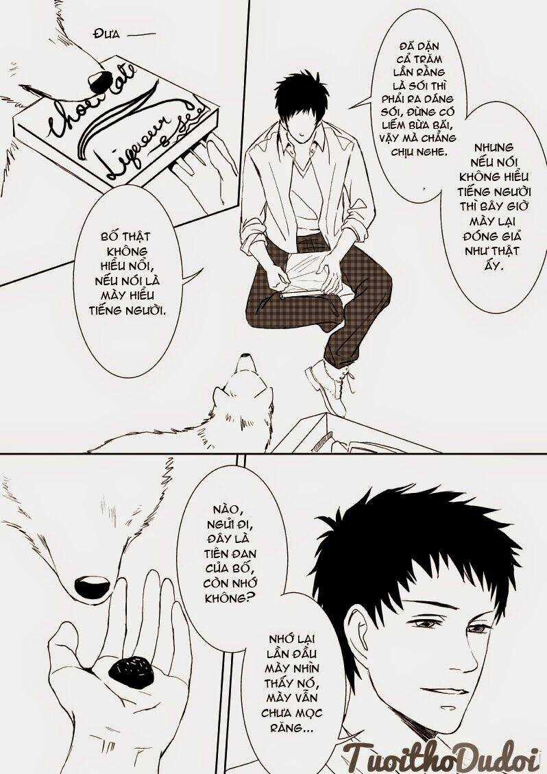 Sự Mê Hoặc Của Sói - Chapter 9 - Trang 8