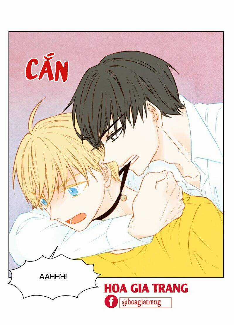 Sự Sao Chép - Chapter 61 - Trang 47