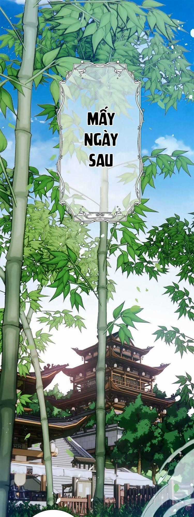 Sư Tôn Người Thật Lắm Chiêu - Chapter 6 - Trang 2