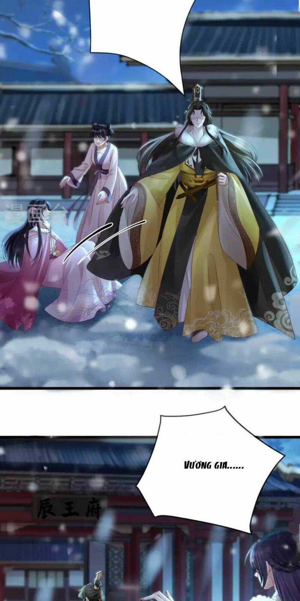 Sự Trả Thù Của Vương Phi - Chapter 27 - Trang 27