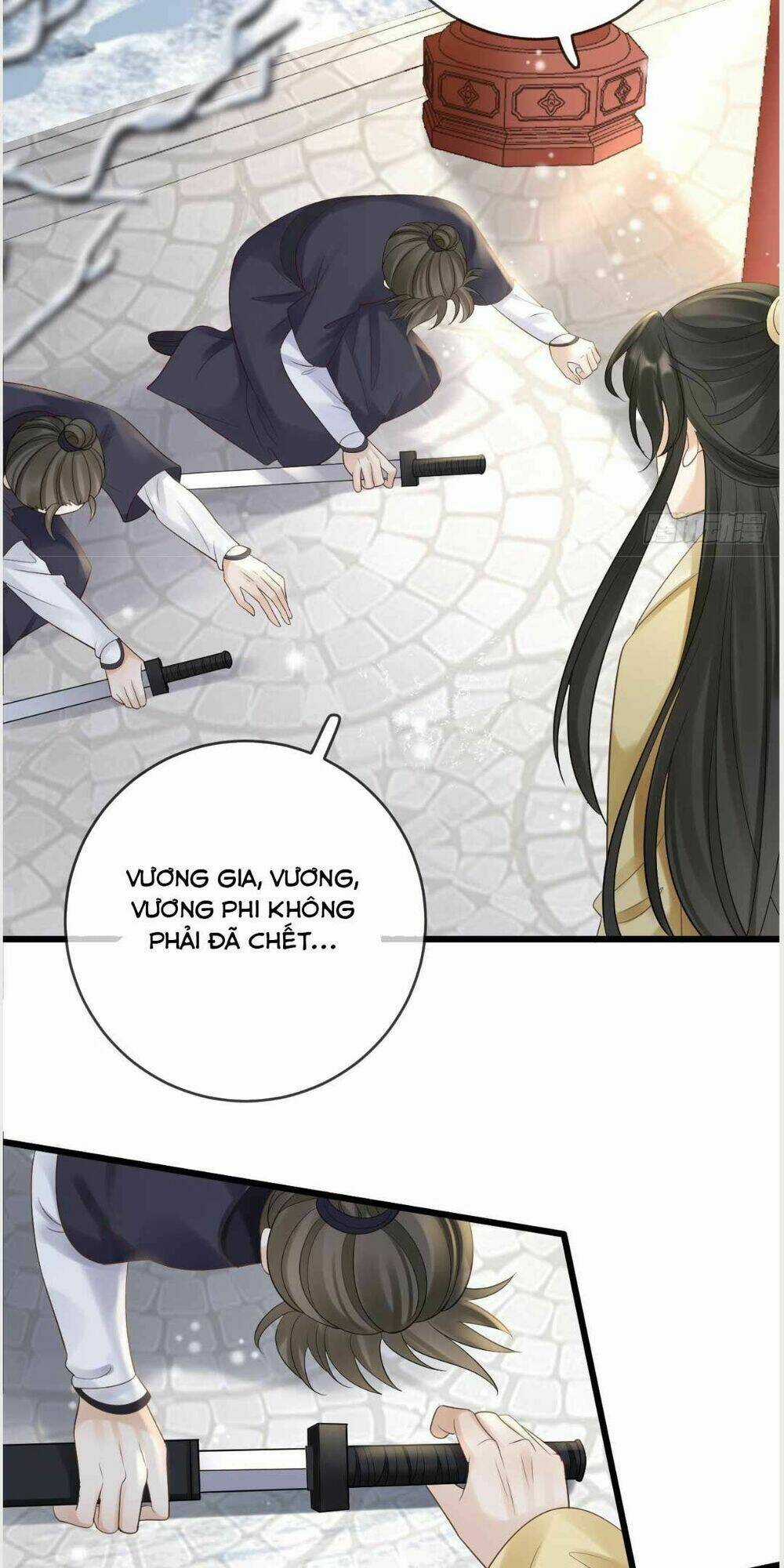 Sự Trả Thù Của Vương Phi - Chapter 30 - Trang 3