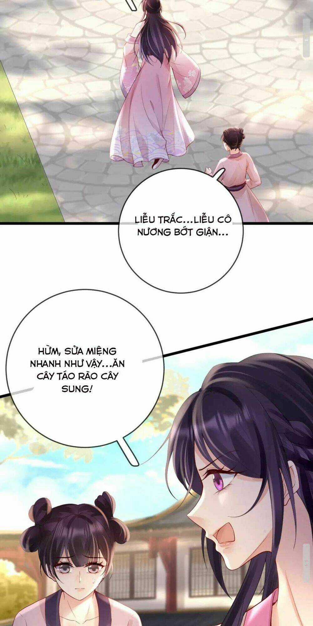 Sự Trả Thù Của Vương Phi - Chapter 35 - Trang 12