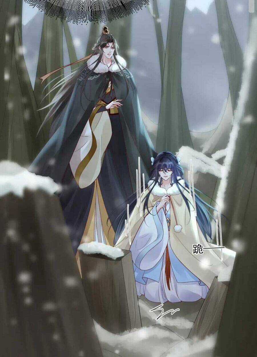 Sự Trả Thù Của Vương Phi - Chapter 40 - Trang 13