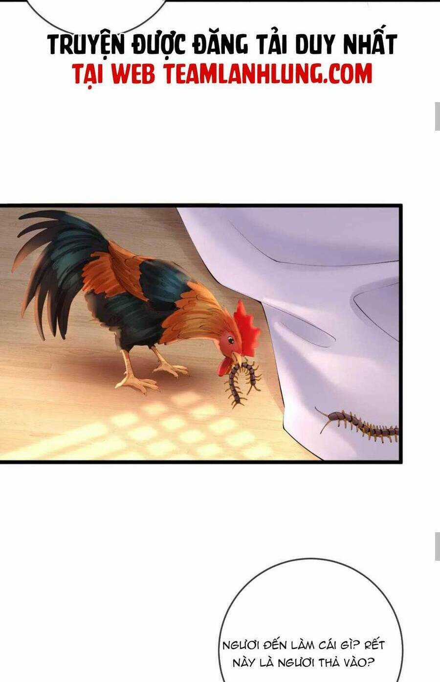 Sự Trả Thù Của Vương Phi - Chapter 62 - Trang 14