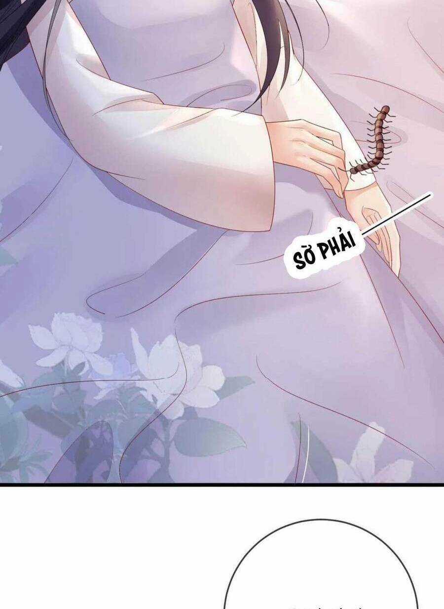 Sự Trả Thù Của Vương Phi - Chapter 62 - Trang 4