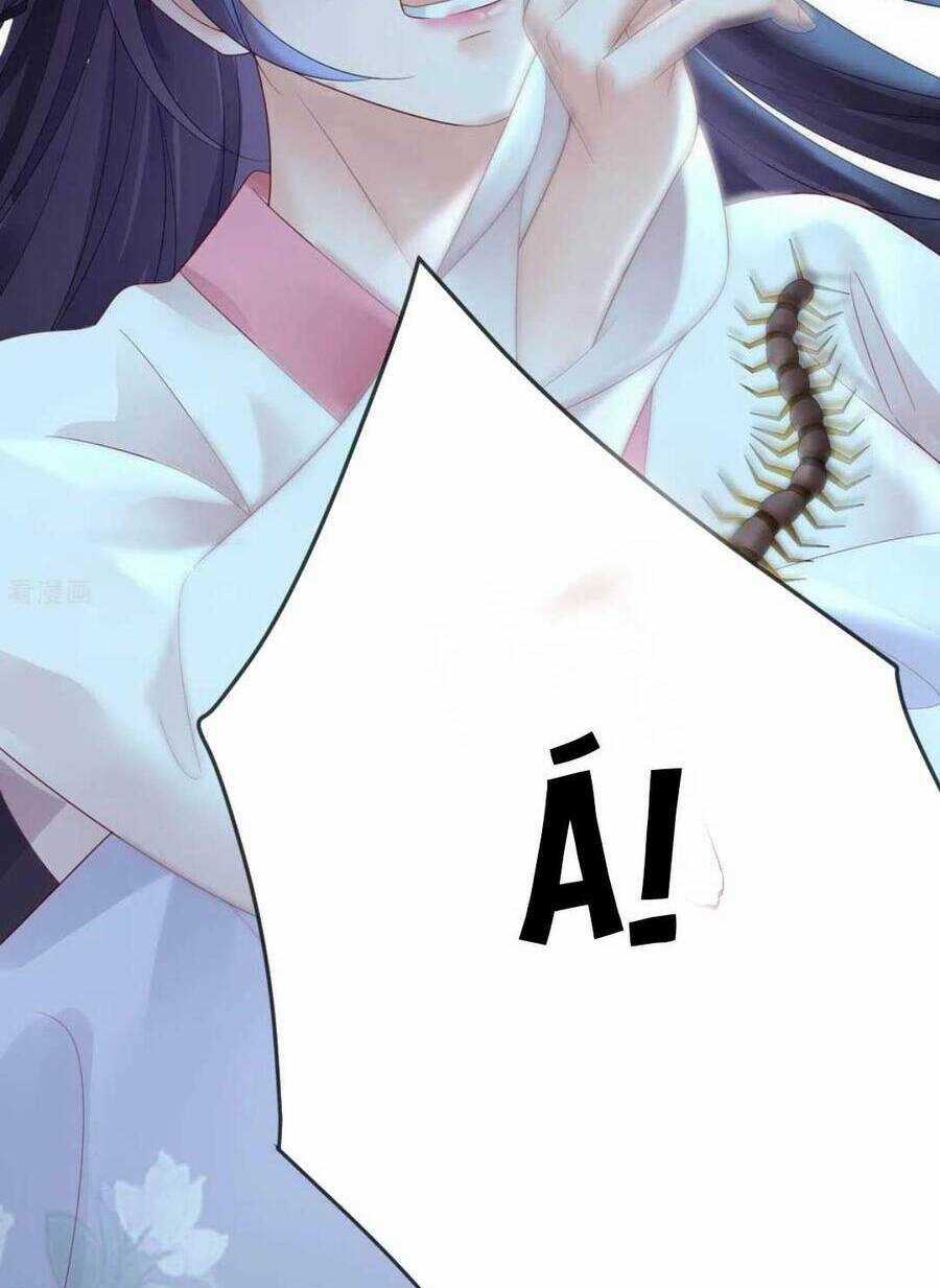 Sự Trả Thù Của Vương Phi - Chapter 62 - Trang 6