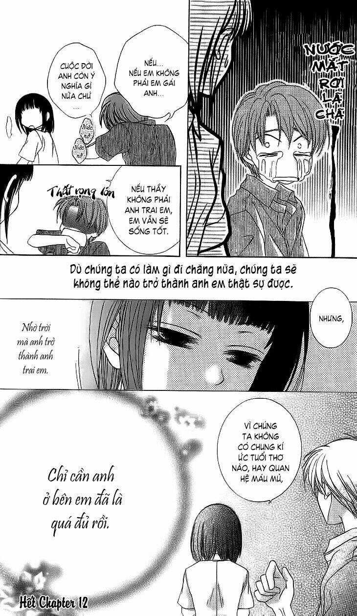 Sugar Family - Chapter 12 - Trang 47