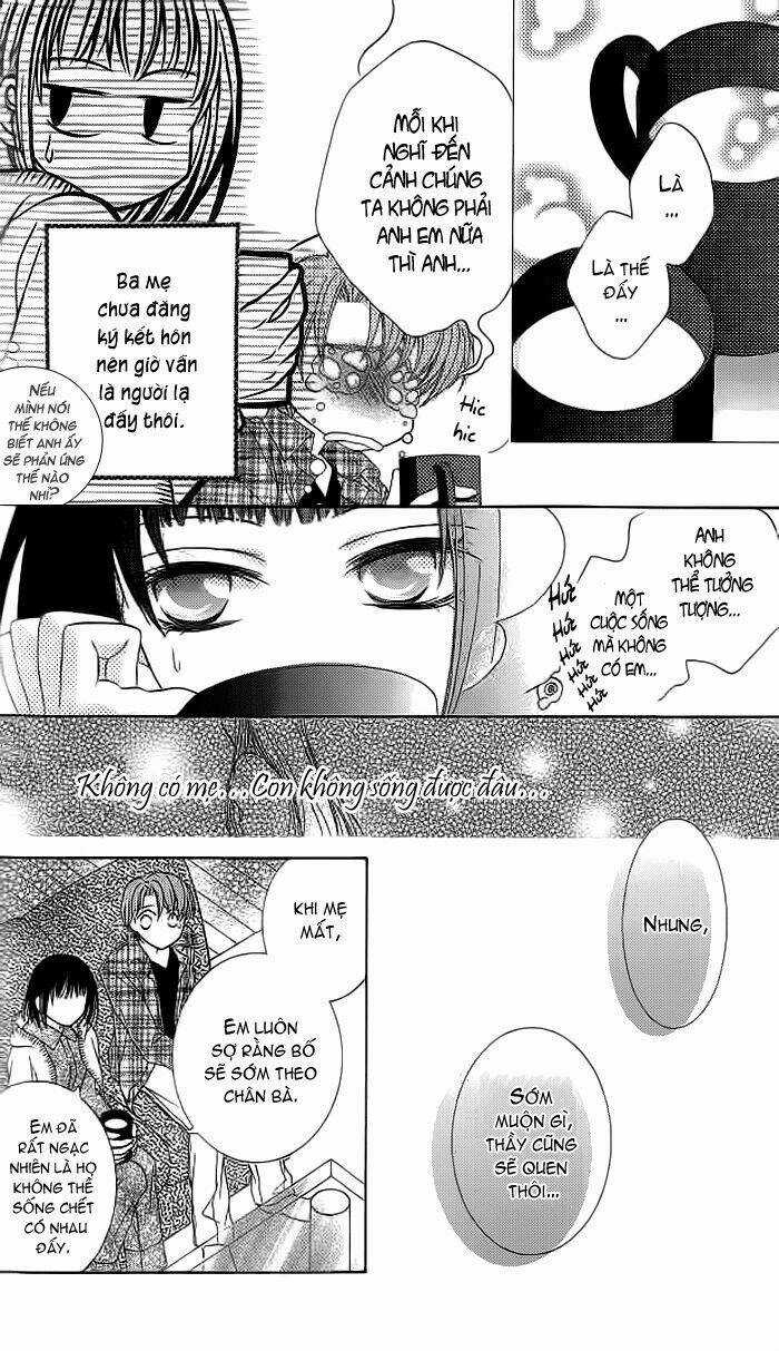 Sugar Family - Chapter 15 - Trang 19