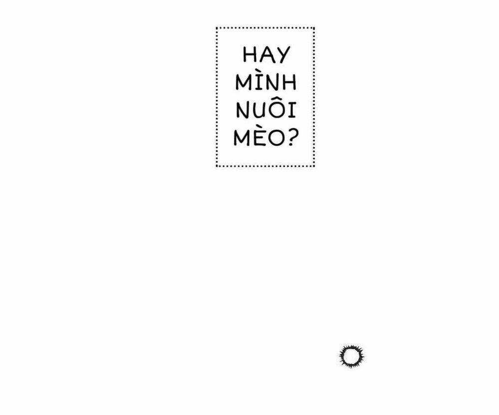 Sugar Pet - Chapter 1 - Trang 22