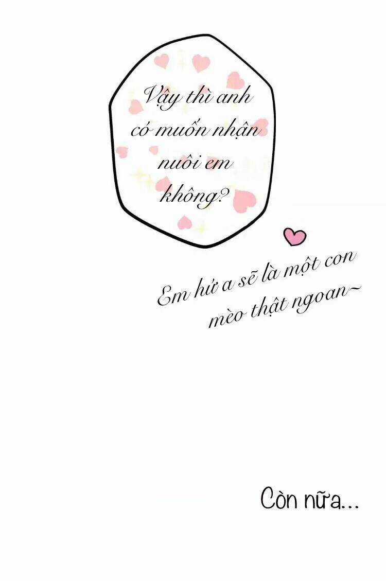 Sugar Pet - Chapter 13 - Trang 18