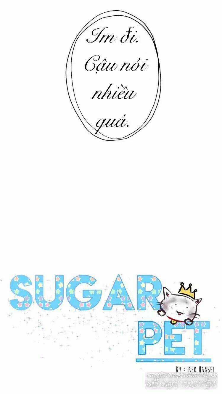 Sugar Pet - Chapter 16 - Trang 21