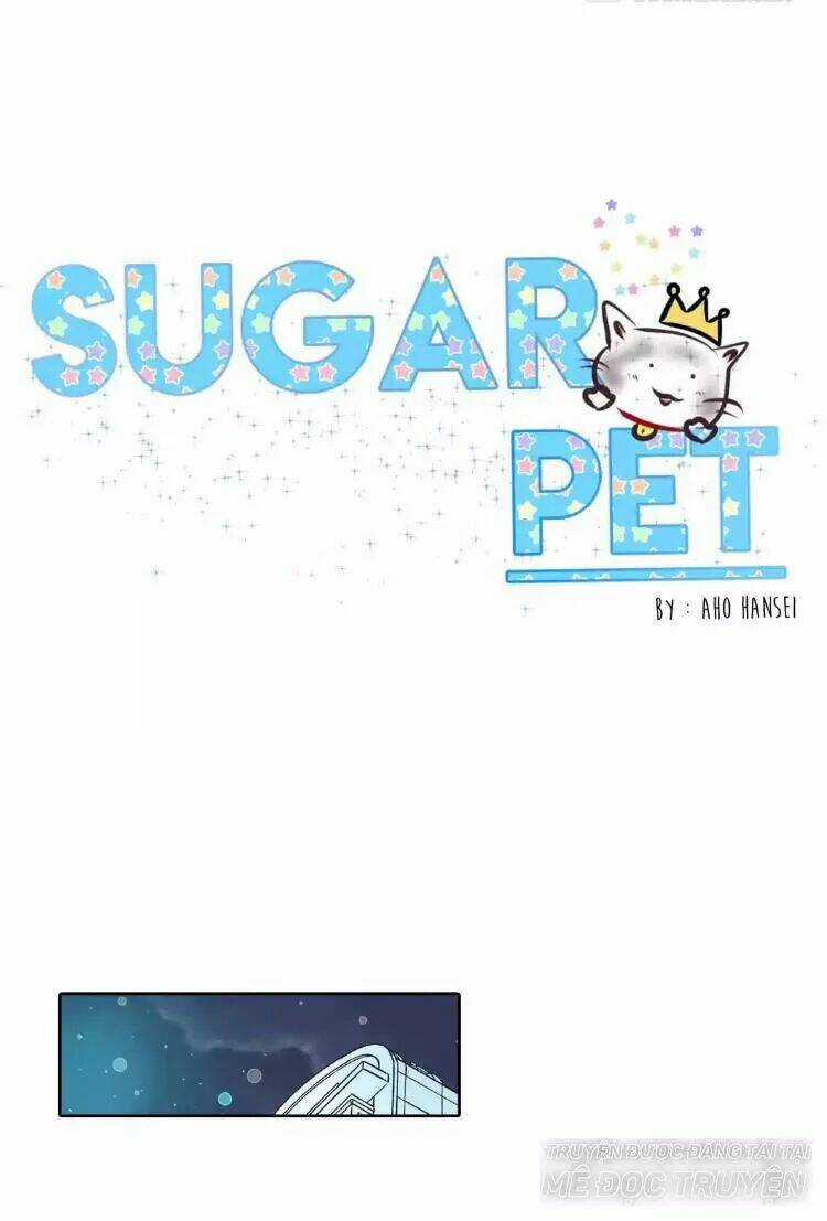 Sugar Pet - Chapter 17 - Trang 1