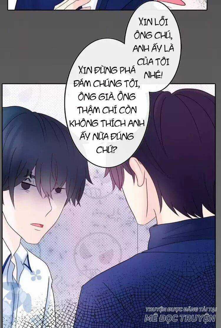 Sugar Pet - Chapter 18 - Trang 11