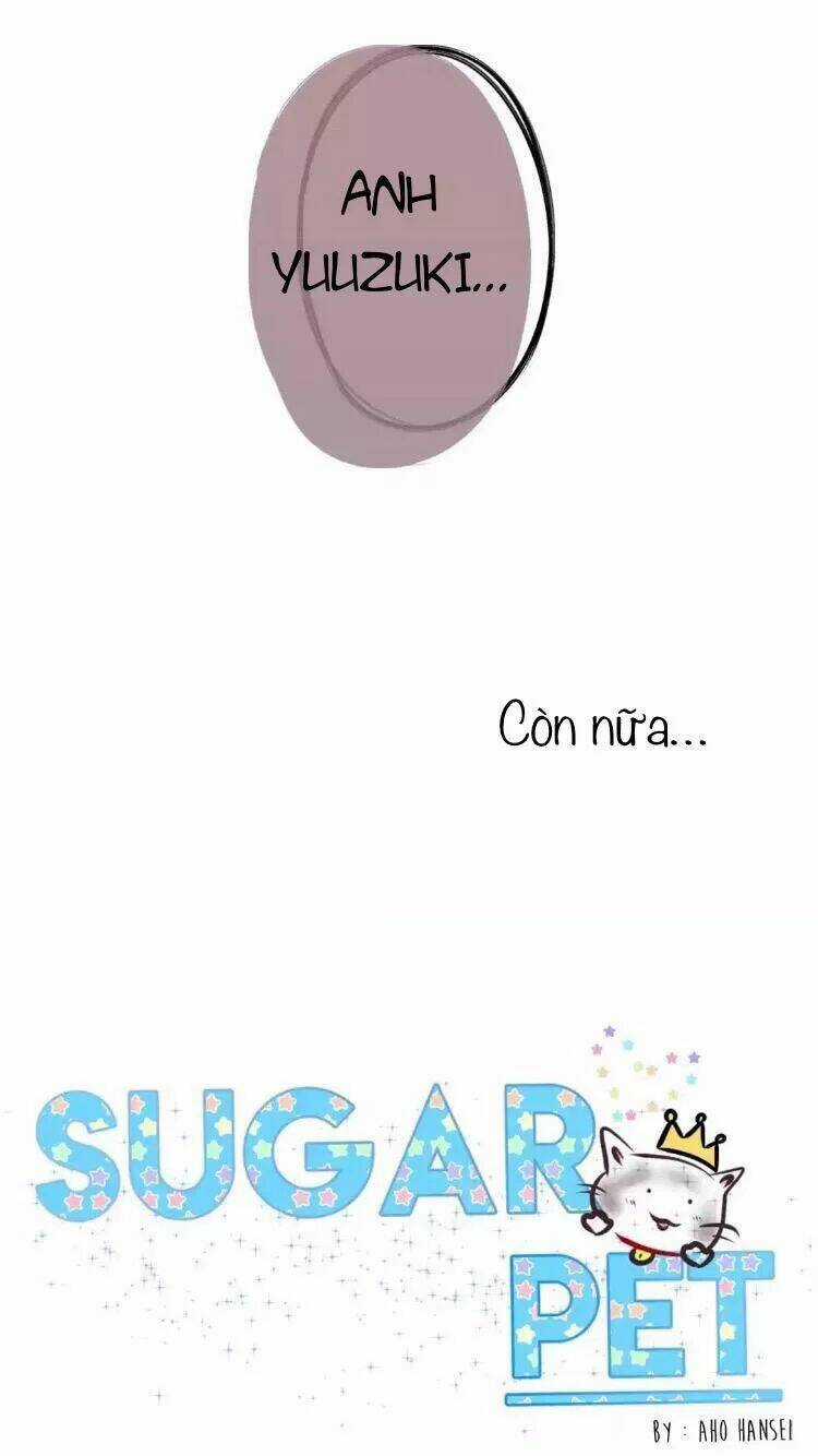 Sugar Pet - Chapter 18 - Trang 23