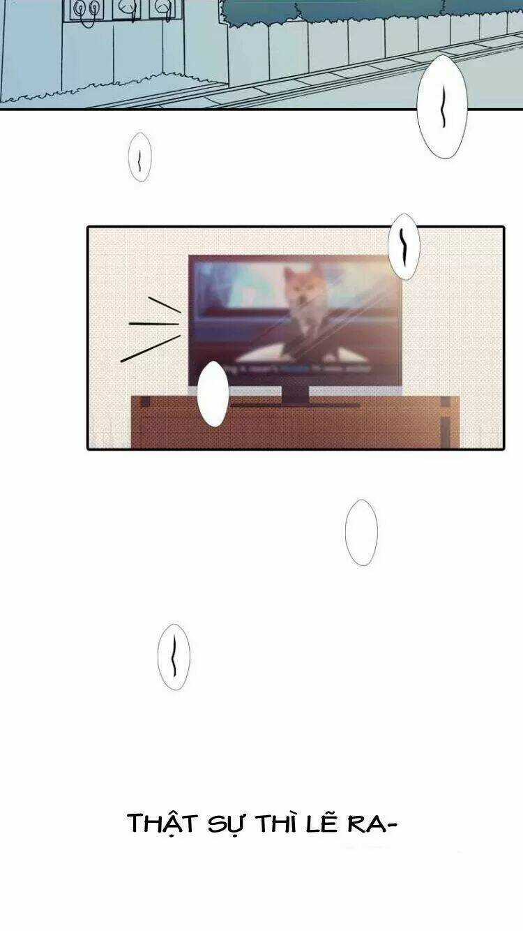 Sugar Pet - Chapter 22 - Trang 2