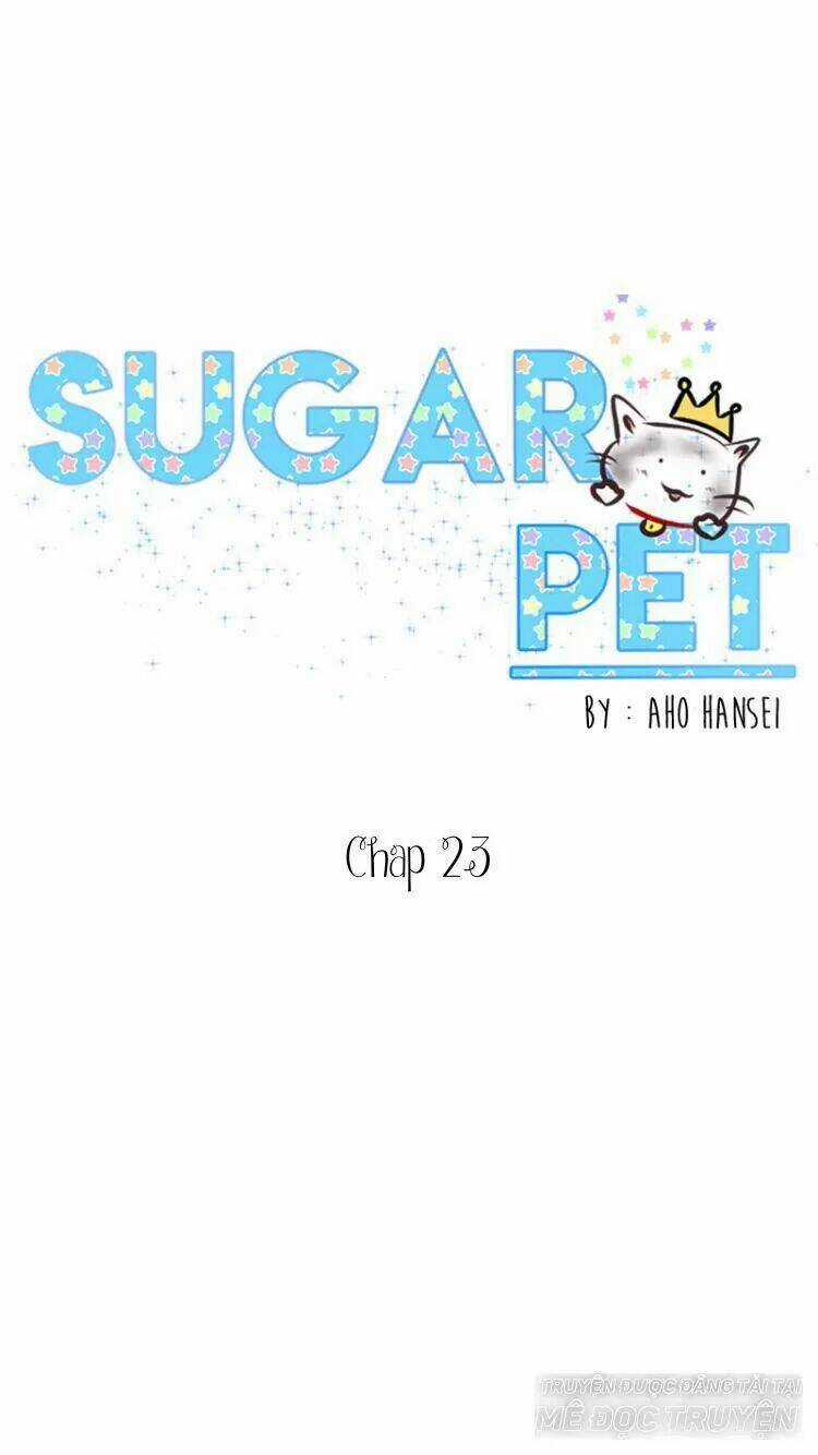 Sugar Pet - Chapter 23 - Trang 1