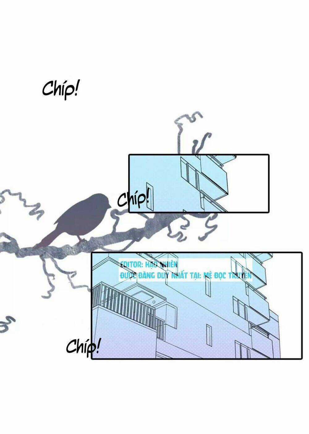 Sugar Pet - Chapter 26 - Trang 11