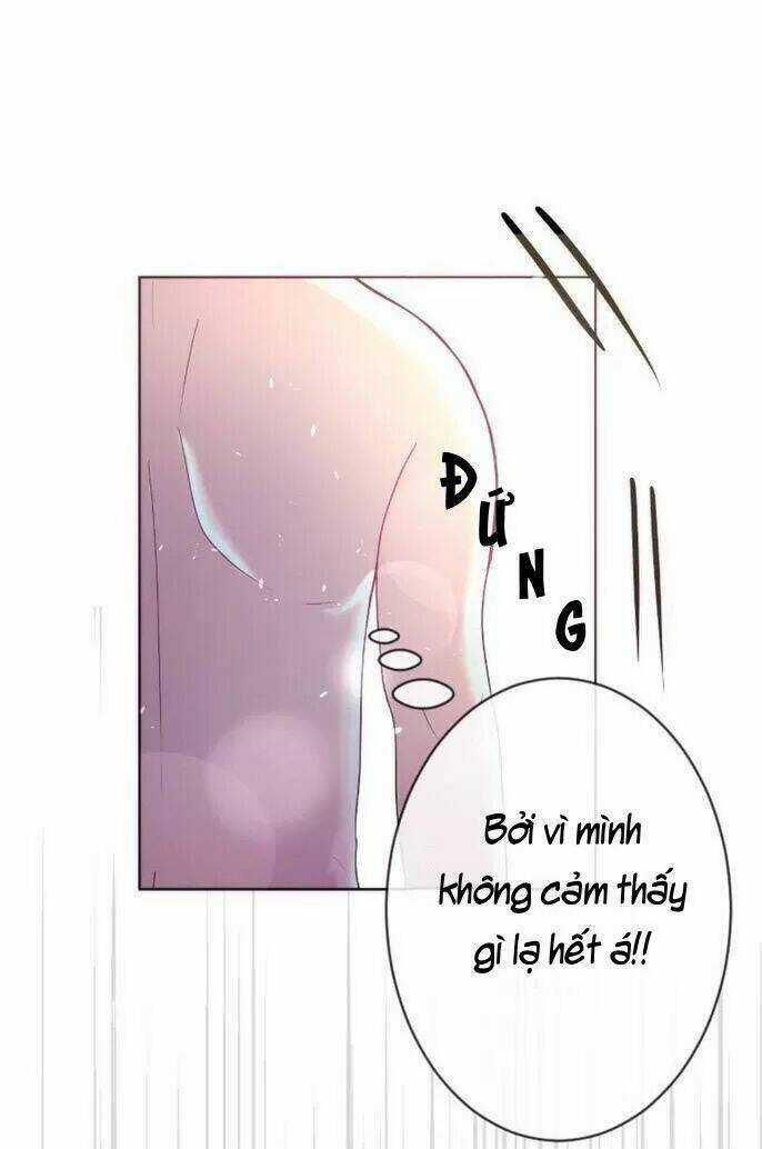 Sugar Pet - Chapter 27 - Trang 4